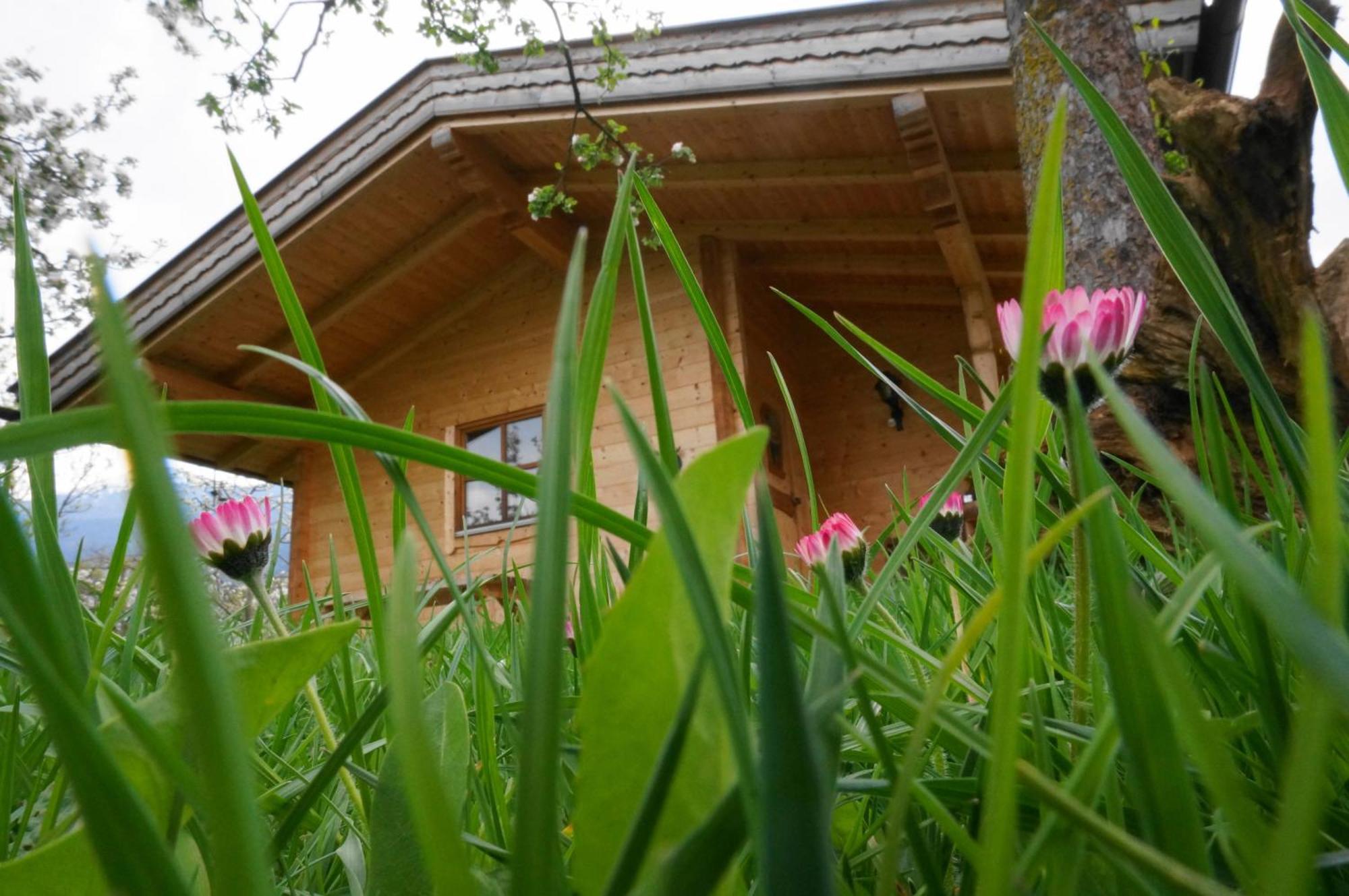 Ferienhaus Mandlhof Weer 외부 사진