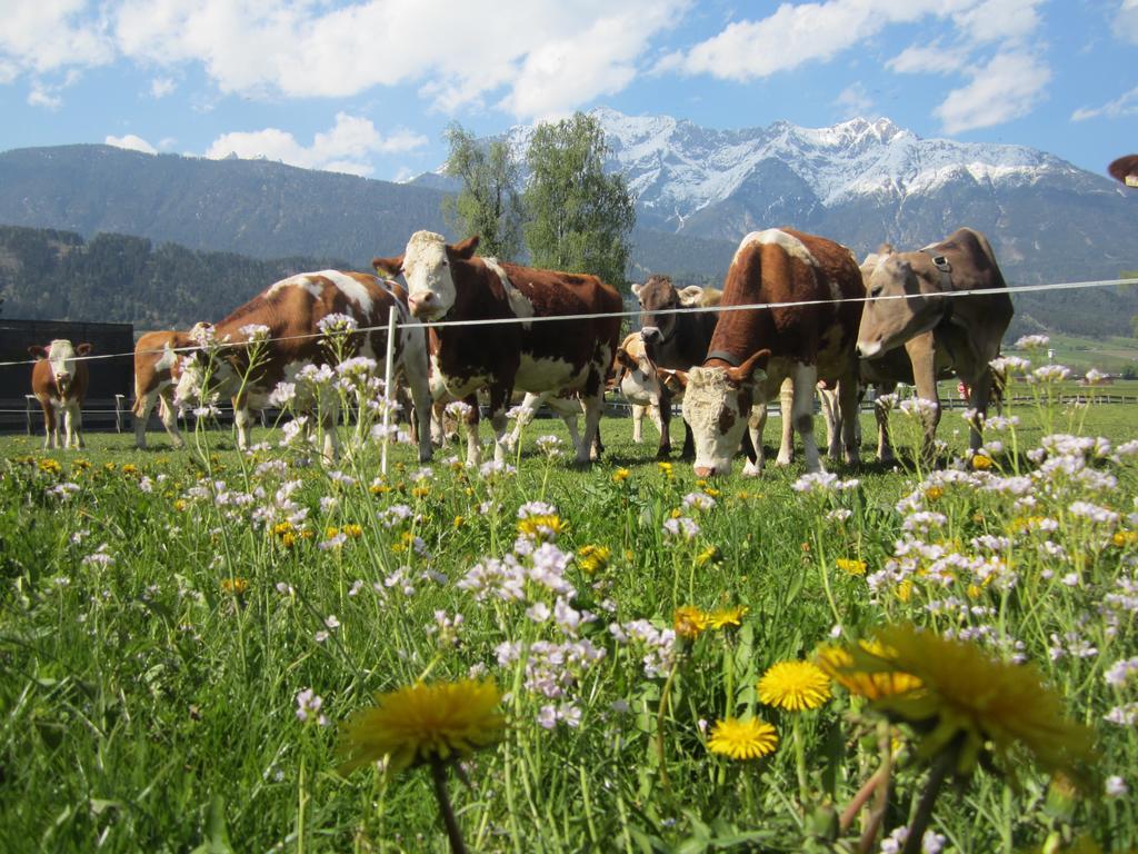 Ferienhaus Mandlhof Weer 외부 사진